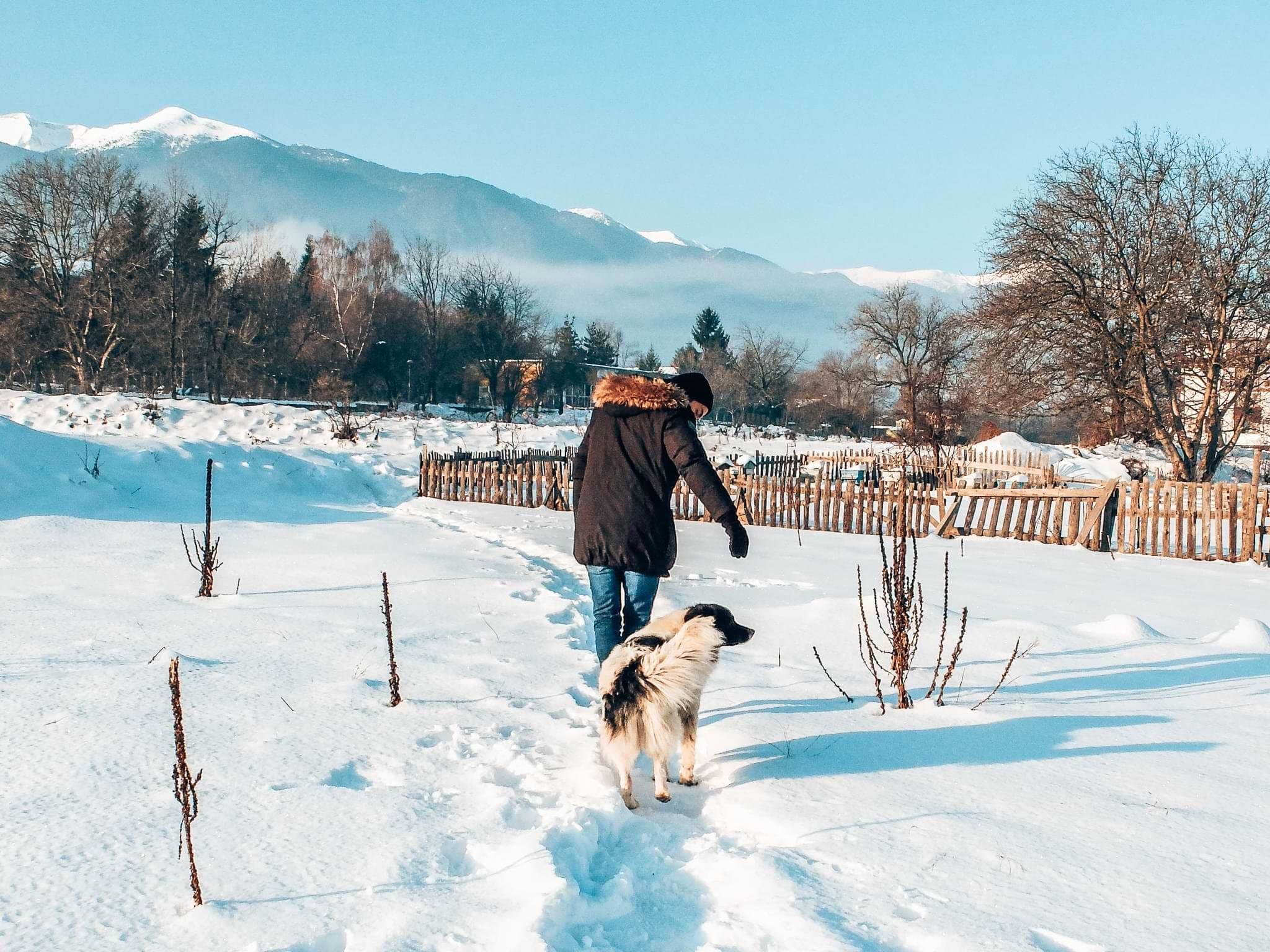 A person and a dog walking through snow with mountains in the distance in Bansko.