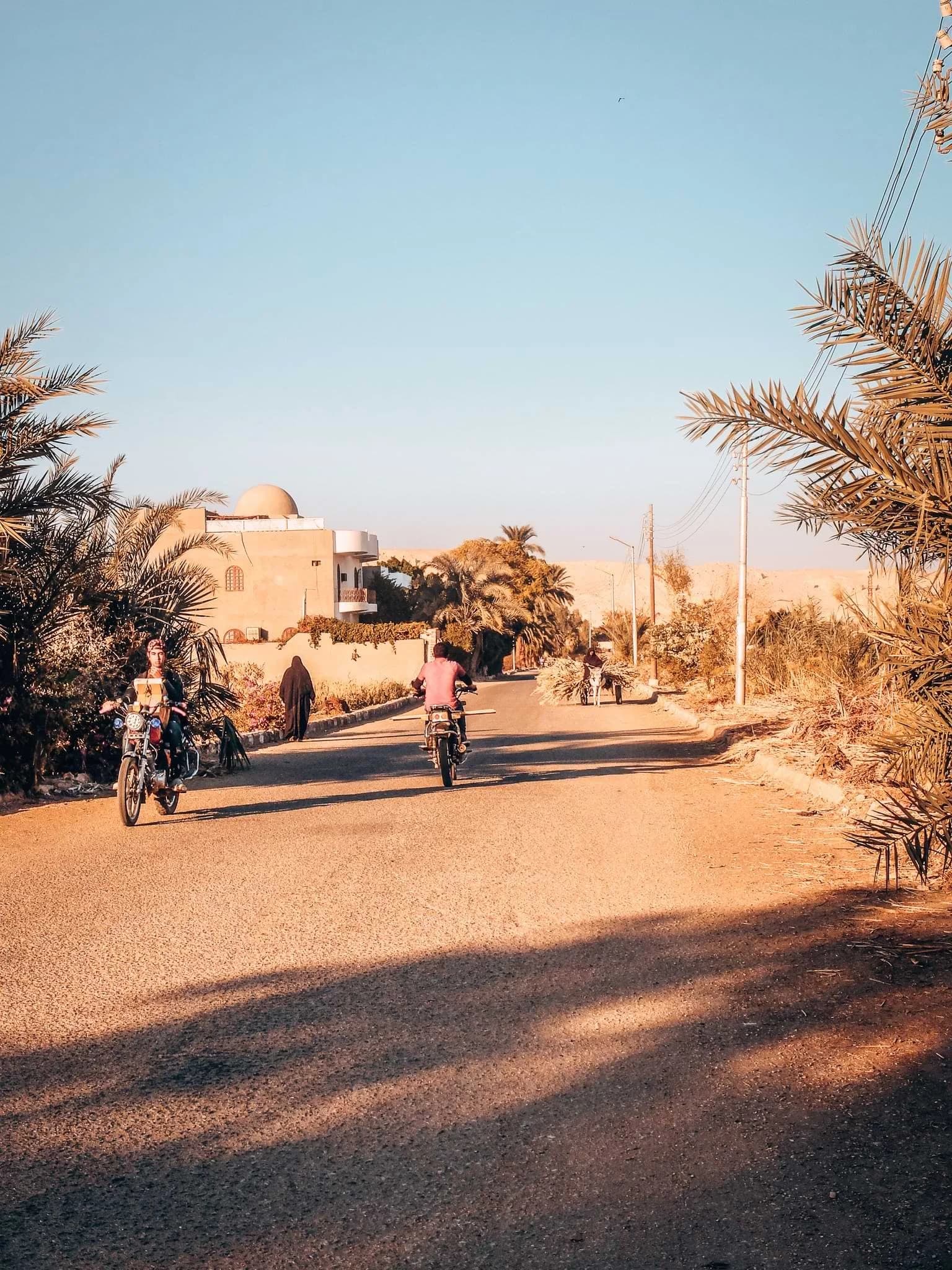 A tour of Luxor by bike through the local villages and farmland.