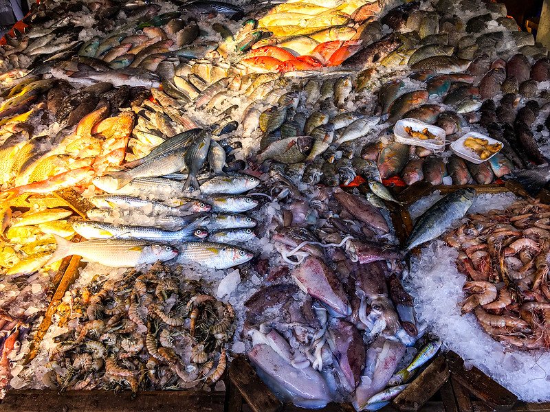 Fish Market in Hurghada